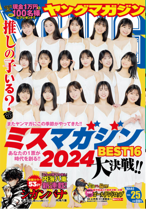 ヤングマガジン 2024年No.25表紙